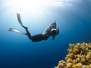 Diver
